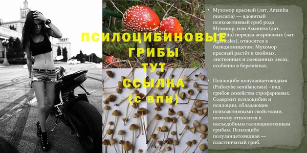 амфетамин Алзамай