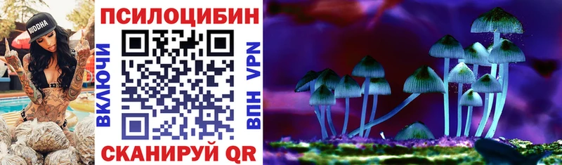 Псилоцибиновые грибы Psilocybe  Анжеро-Судженск 